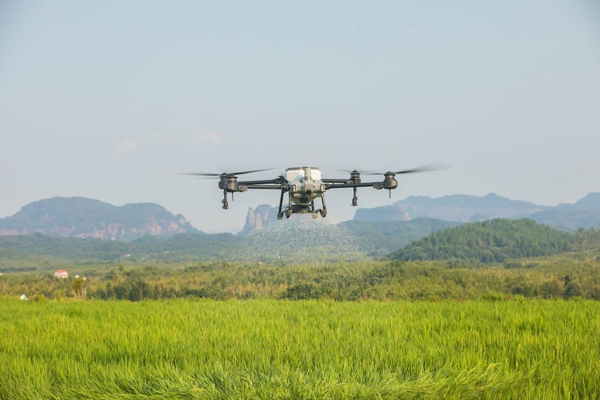 無人機技術在農業中(zhōng)的應用